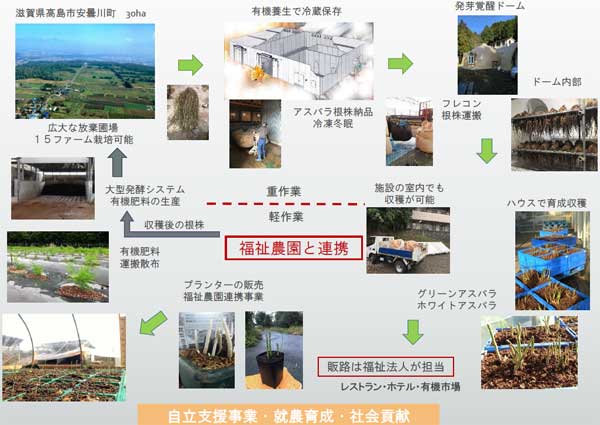 福祉農園連携事業 根活力アグリの図化